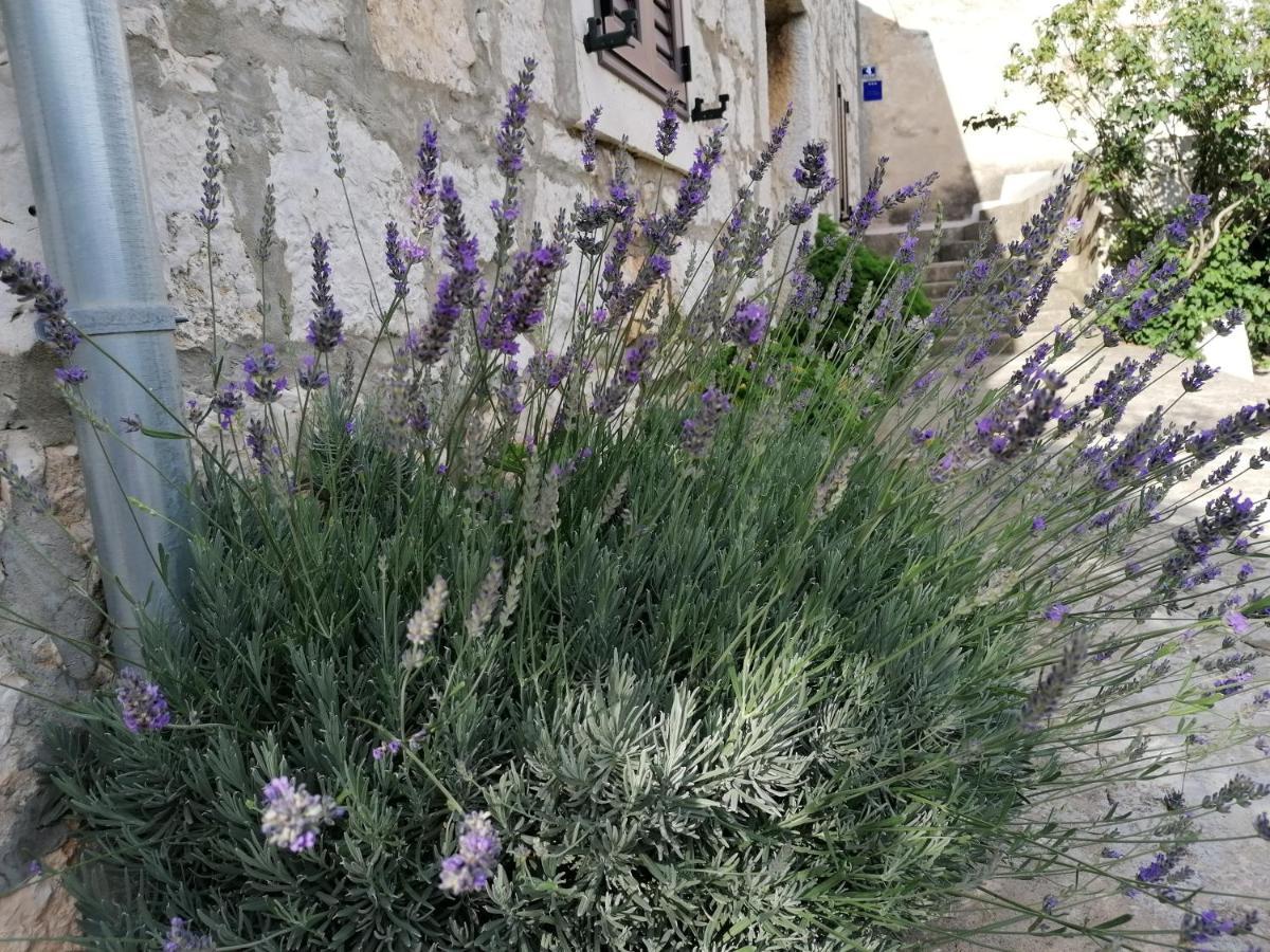 Lana Daire Goveđari Dış mekan fotoğraf